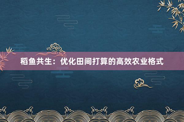 稻鱼共生：优化田间打算的高效农业格式